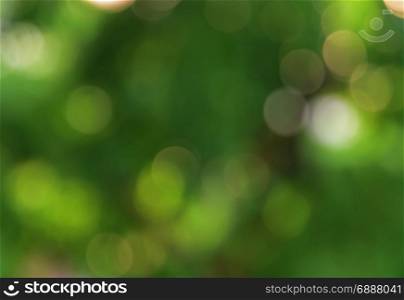 Bokeh abstract background of defocused green nature lights and shadow