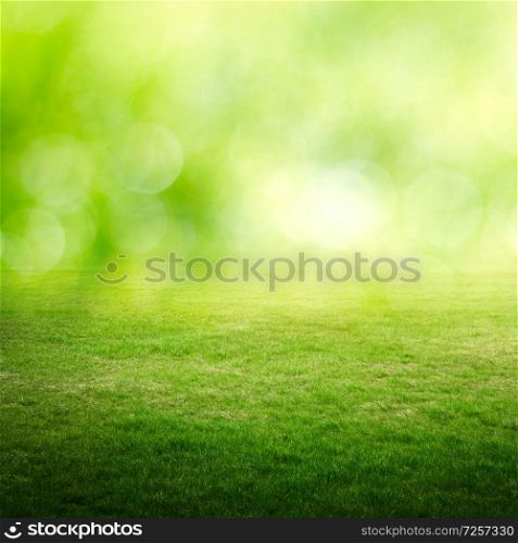 Bokeh and green meadow. Summer background. Bokeh and green meadow
