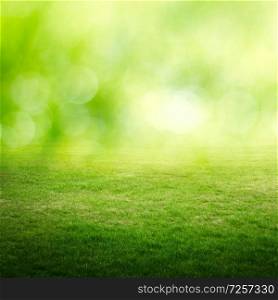 Bokeh and green meadow. Summer background. Bokeh and green meadow
