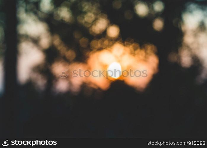 Bokeh blured lights. realistic hexagonal abstract aperture effect, tree shadow