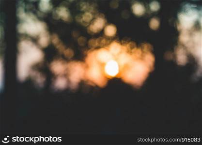 Bokeh blured lights. realistic hexagonal abstract aperture effect, tree shadow