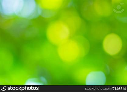 Bokeh circles blurred from green natural light