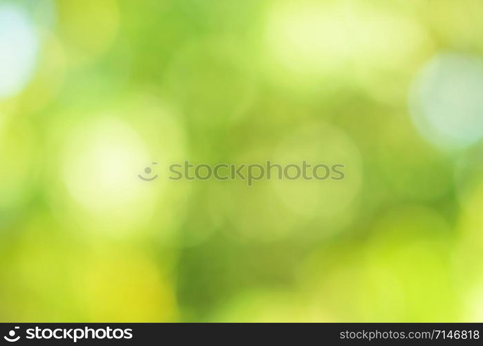 Bokeh circles blurred from green natural light