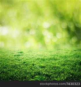 Bokeh grass and green meadow. Summer background. Bokeh grass and green meadow
