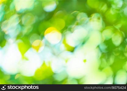 Bokeh green blurred universal background. Blur green defocused bokeh.. Colorful green defocused texture for your design. Blurred green natural background with bokeh