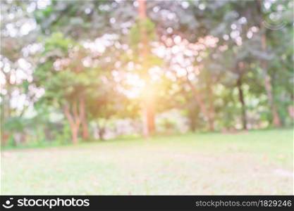 Bokeh green nature background, defocused bokeh background of garden trees in sunny day.