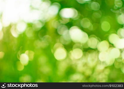 Bokeh green nature. Green nature bokeh background with copy space. Ecology nature concept.. Light green nature bokeh. Bokeh in green natural tree leaves background.
