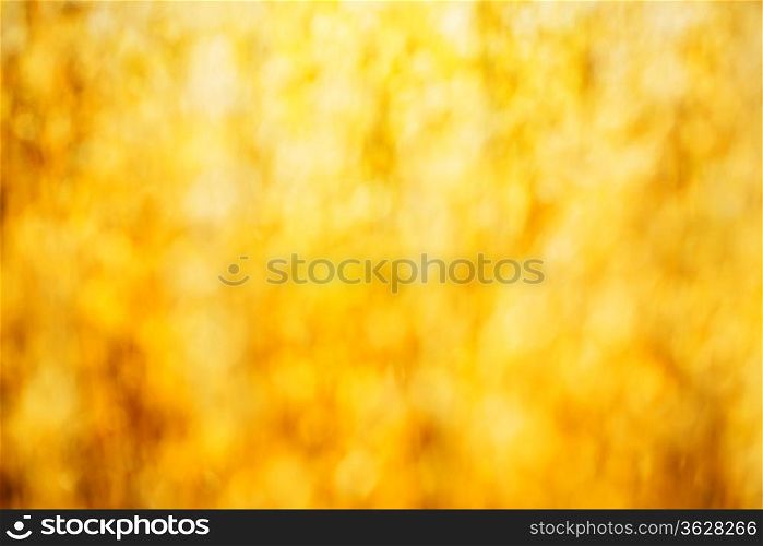 bokeh of golden ripe wheat