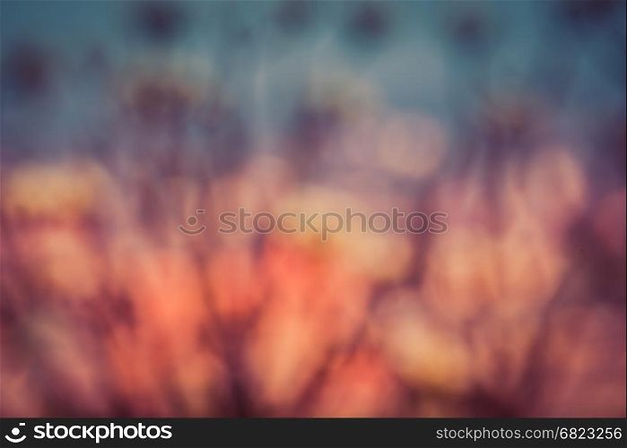 Bokeh of nature background
