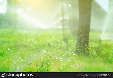 Bokeh water splashing on blur background of automatic lawn sprinkler watering green grass. Sprinkler with automatic system. Garden irrigation system watering lawn. Sprinkler maintenance service.