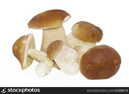 Boletus edulis mushroom isolated on white + clipping path