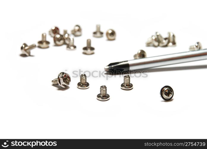 Bolts for assembly of computers. (it is isolated on a white background)