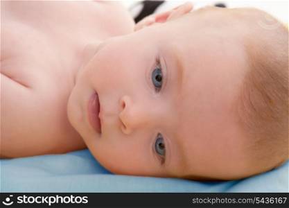 Bond little baby blue eyes lying relaxed in blue bed