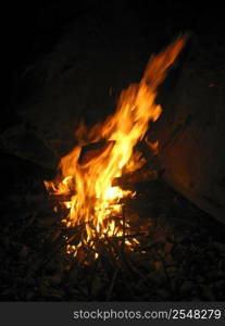 Bonfire and burning fire in the night