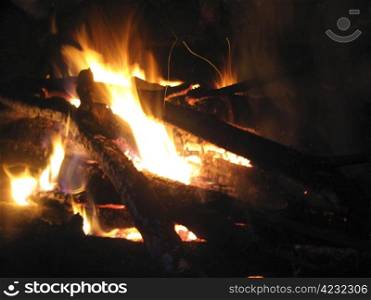 Bonfire and burning fire in the night