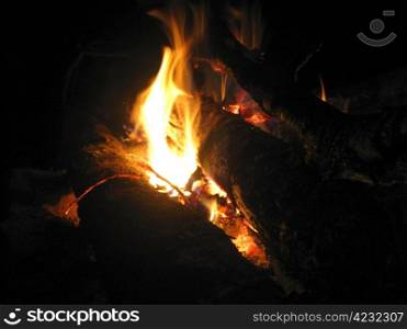 Bonfire and burning fire in the night