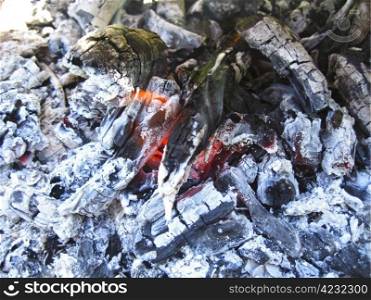 Bonfire and the coals after burning fire