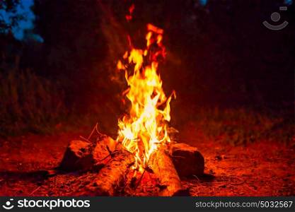 Bonfire near water in forest at night