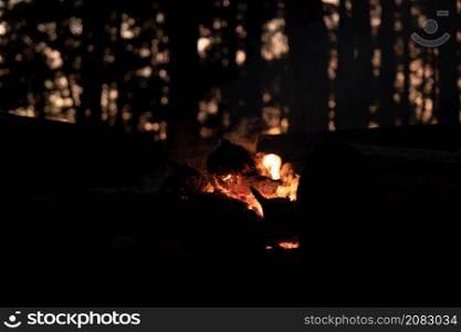 Bonfire with sparks in the forest at the night.