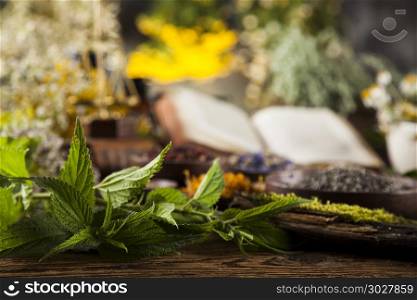 Book and Herbal medicine on wooden table background. Natural medicine on wooden table background