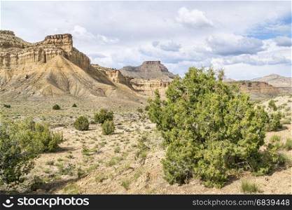 Book Cliffs - desert landscape of eastern Utah with a cliff, buttes and junipers