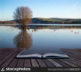 Book concept Beautiful landscape of flood plains in Winterwith mirror reflections