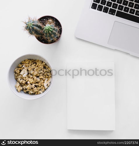 booklet mockup with laptop cereals cactus