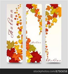 Bookmarks with colorful autumn maple leaves. Bookmarks vector template with colorful autumn maple leaves