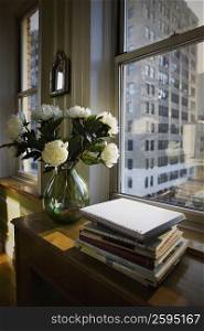 Books and a flower vase on a cabinet near a window