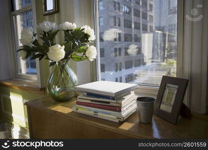 Books and a flower vase on a cabinet near a window