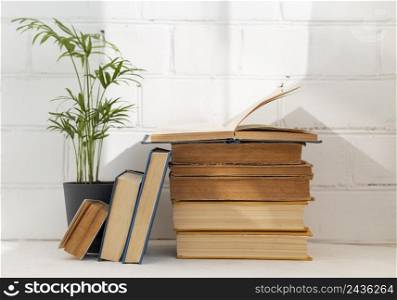 books arrangement with plant