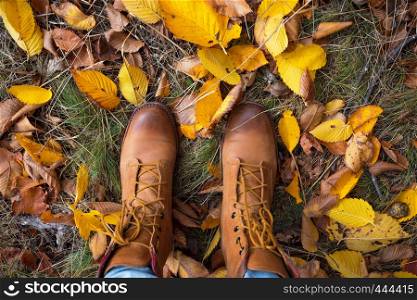 boots on a background of a autumn leaves