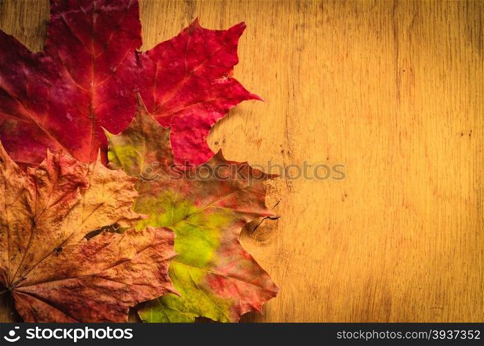 Border frame of autumn leaves on wooden background with copy space