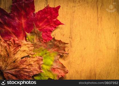 Border frame of autumn leaves on wooden background with copy space