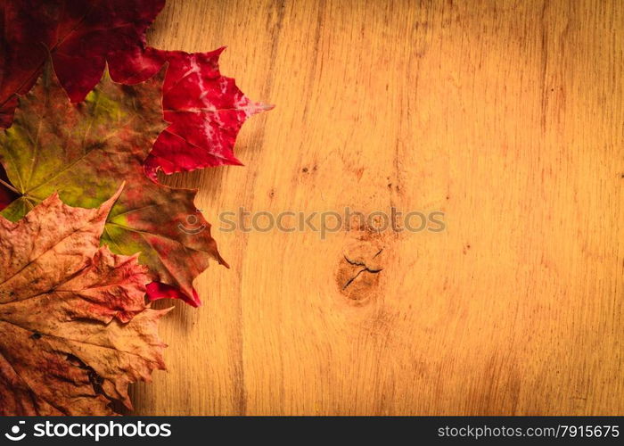 Border frame of autumn leaves on wooden background with copy space