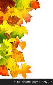 border frame of colorful autumn leaves isolated on white with clipping path