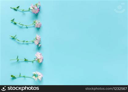 Border made small blooming flowers on blue background with copy space. Concept Hello spring or summer, womens day. Template for design, greeting card, invitation, postcard Flat Lay Top view.. Border made small blooming flowers on blue background with copy space. Concept Hello spring or summer, womens day. Template for design, greeting card, invitation, postcard Flat Lay Top view