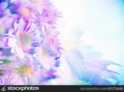 Border of a beautiful pink blue daisy flowers, gentle flower bouquet, fine art background, selective focus, tender greeting card for wedding day