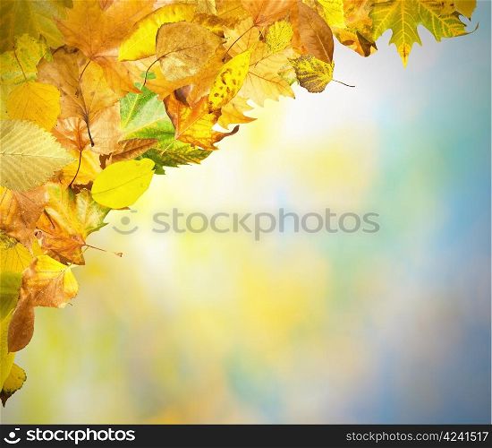 Border of autumn leaves.Blue sky copy space