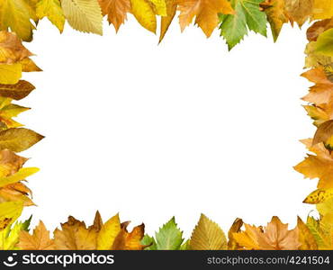 Border of autumn leaves.White isolated copy space.