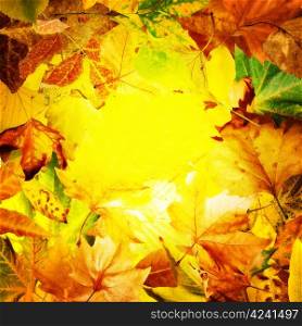 Border of autumn leaves.Yello leaf copy space