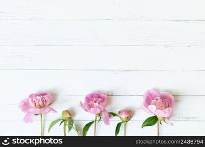 Border of Beautiful pink and white peony flowers on bright wooden backgroundwith copy space for your text top view and flat lay style.. Border of Beautiful pink and white peony flowers on bright wooden backgroundwith copy space for your text top view and flat lay style