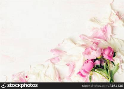 Border of Beautiful pink and white peony flowers on table with copy space for your text top view and flat lay style.. Border of Beautiful pink and white peony flowers on table with copy space for your text top view and flat lay style