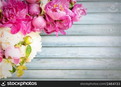 Border of Beautiful pink and white peony flowers on wooden table with copy space for your text top view and flat lay style.. Border of Beautiful pink and white peony flowers on wooden table with copy space for your text top view and flat lay style