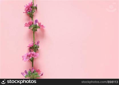 Border of branch with purple flowers on pink background with copy space for text. Top view Flat lay Template for your design, invitation, postcard.. Border of branch with purple flowers on pink background with copy space for text. Top view Flat lay Template for your design, invitation, postcard