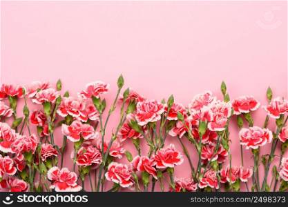 Border of carnation flowers on pastel pink background