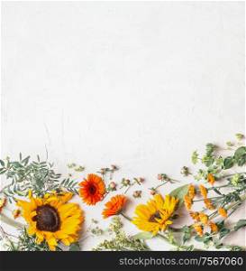 Border of lovely summer garden flowers with pretty sunflowers on white background, top view