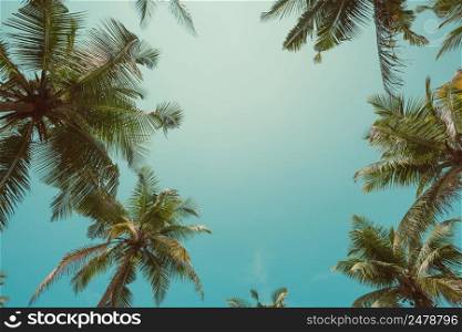 Border of palms leafs over sky background vintage toned