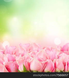 border of pink garden roses on green sky background. border of pink garden roses