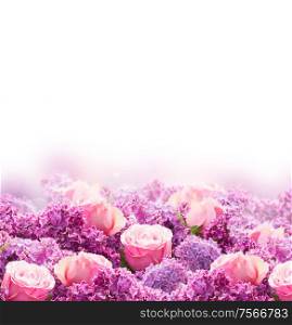 Border of purple Lilac flowers with pink roses over white background. Lilac and flowers